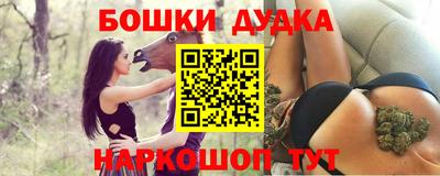 стафф Кингисепп