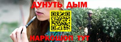 стафф Кингисепп