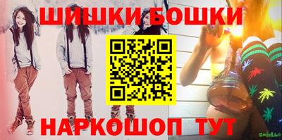 стафф Кингисепп