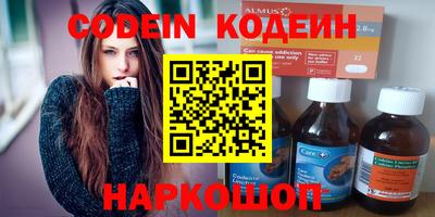 стафф Кингисепп