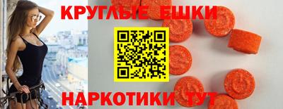 стафф Кингисепп