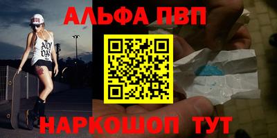 стафф Кингисепп