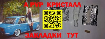 стафф Кингисепп