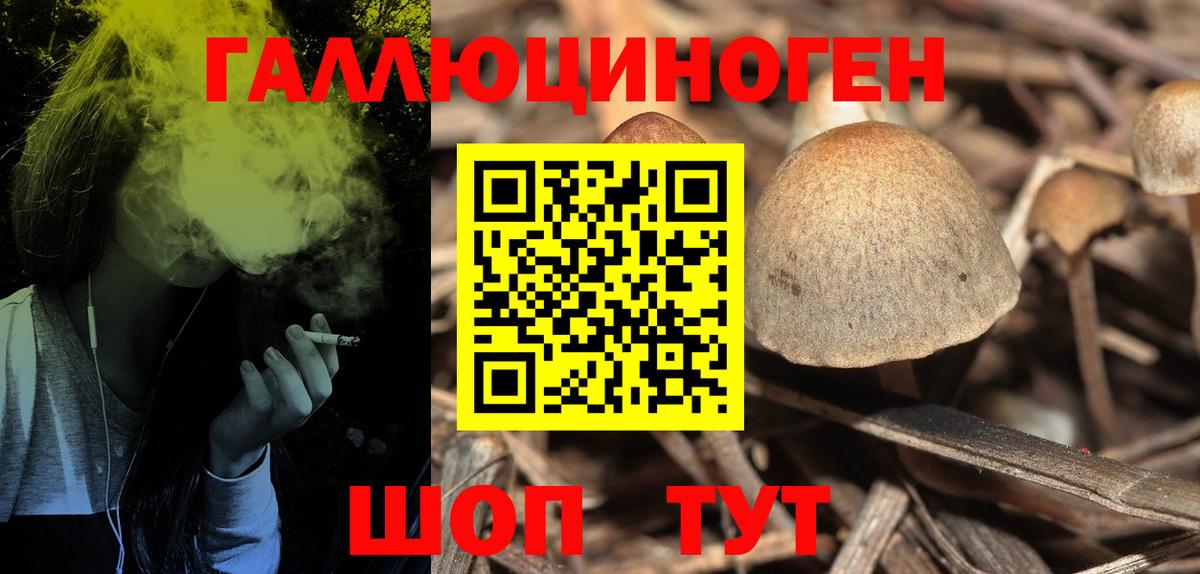 Псилоцибиновые грибы Psilocybe  Вход с VPN  Кохма 