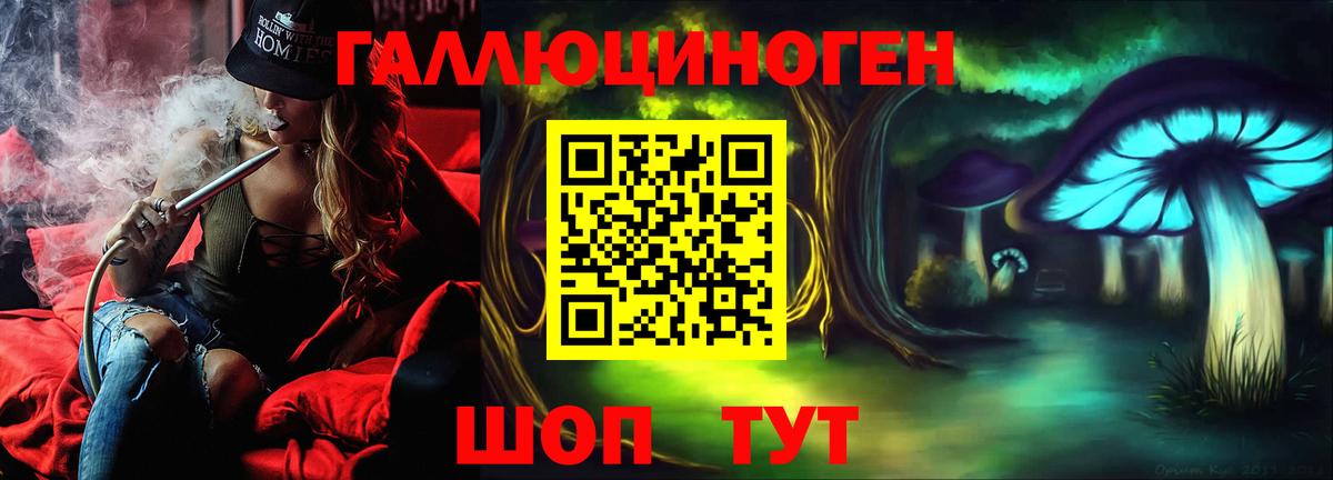 Псилоцибиновые грибы Psilocybe Кохма